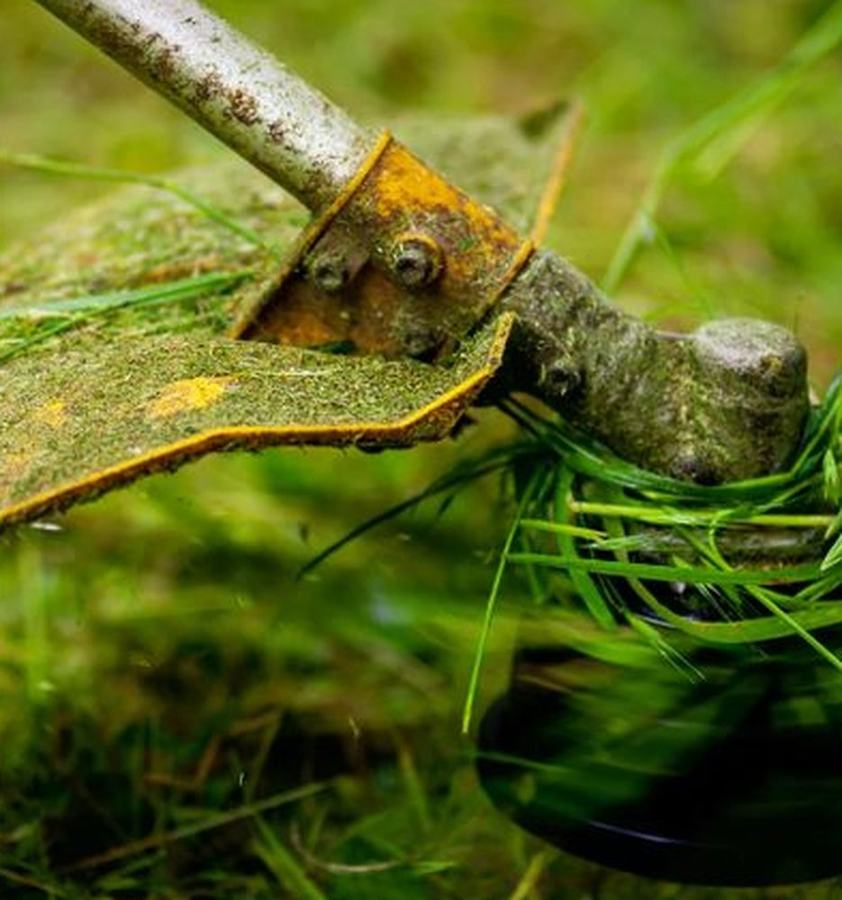 Close-up of a string trimmer cutting grass